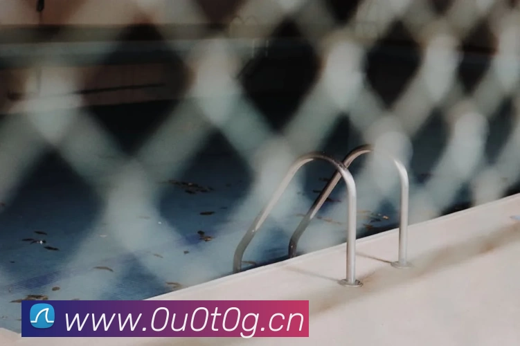 App Interface Preview