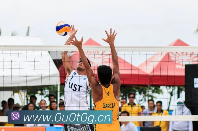 beat·365(中国)官方网站APP 封面图